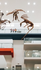 Piece of artwork in the Ulster Museum, Johnny Frazer