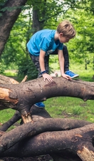 Children climbing over a fallen branch in Heaton Park, Newcastle