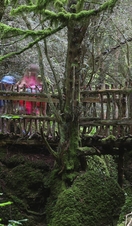 A low wooden bridge in the beautiful Puzzlewood woodland, Forest of Dean