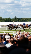 Big group of spectators watching race. Racehorses galloping