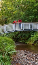 Pixie Glen new bridge, Lydford Gorge