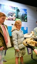 Tullie House Museum & Art Gallery