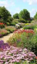 Arrays of flowers growing in Breezy Knees Gardens in York