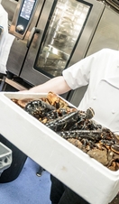 Provender Melrose Restaurant and Bar