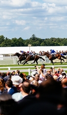 Big group of spectators watching race. Racehorses galloping