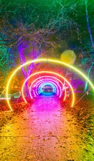 Colourful light installation at Christmas at Bute Park festival