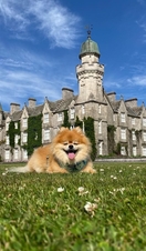 Balmoral Castle and Estate