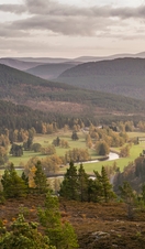 A view across the hills and woodlands of the Cairngorms National Park.