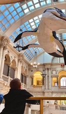 Children looking at museum exhibit