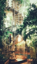 Woman going up the staircase in the Palm House