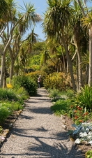 A pathway through a tropical garden.