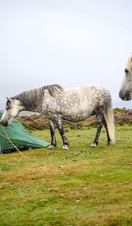 Wild camping on Dartmoor National Park- Devon -UK