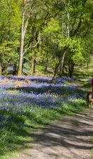 visitscotland_42124127537