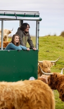 A couple taking a guided farm experience among Highland cattle and sheep from a purpose-built trailer.