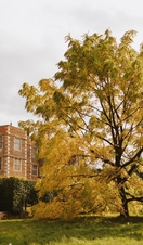 An outdoor autumnal view of Doddington Hall in Lincoln