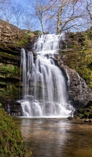 Scaleber Force