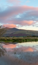 Mynydd Illtyd, near Libanus, Fforest Fawr UNESCO Global Geopark