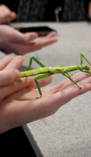 Dr Beynon's Bug Farm