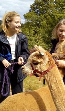 Dos mujeres guían a una alpaca como parte de un recorrido a pie en Holly Hagg Community Farm en Sheffield