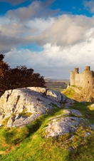 Castle standing on a grassy hilltop. Blue skies and clouds