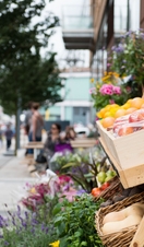 Fresh fruit and veg on display at Wapping Wharf in Bristol
