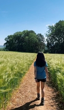 The Cotswold Way Walking Trail