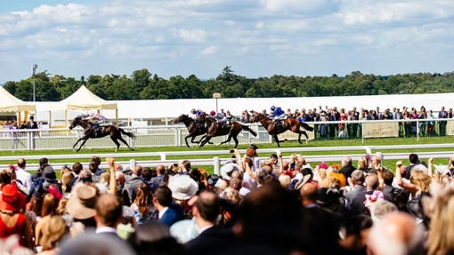 Big group of spectators watching race. Racehorses galloping