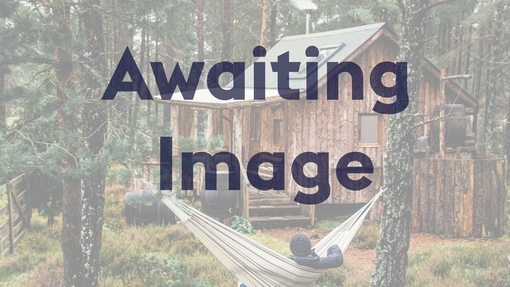 Awaiting image