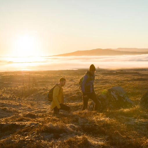 Two men hiking in highlands at sunset. Streaming sunlight