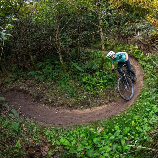 A cyclist riding through trees along a purpose built adventure cycle path in a large forest.