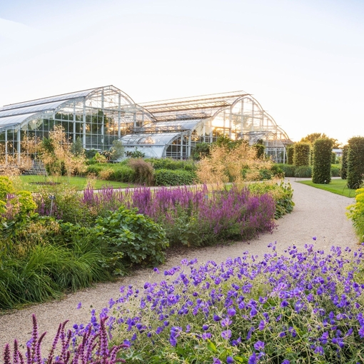 Floral boarders with a path leading to the Glasshouse