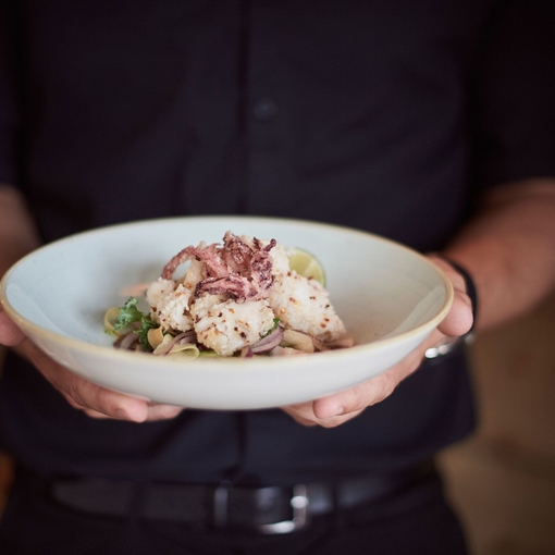 Close up of person holding plate with of food