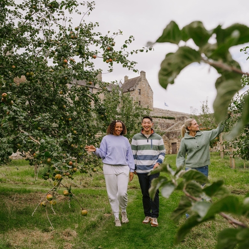 A man and two women walking through an apple orchard on castle grounds.