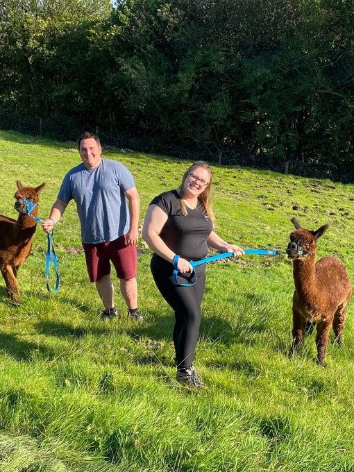 Alpaca Experience at Naze View Farm