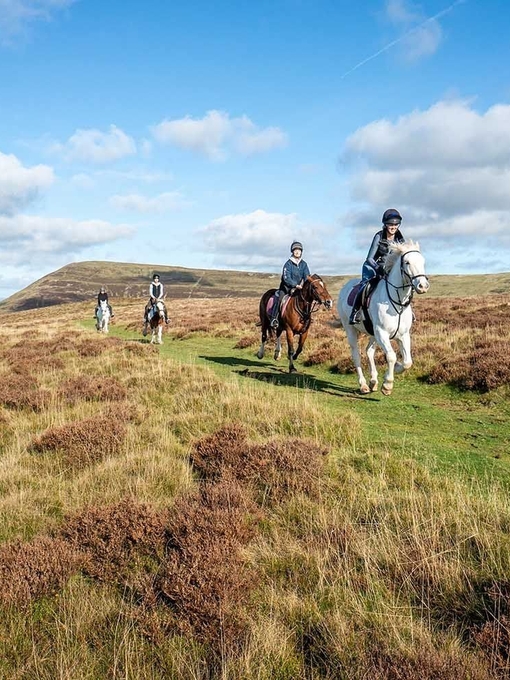 A group of horse riders on a hill overlooking farmland.