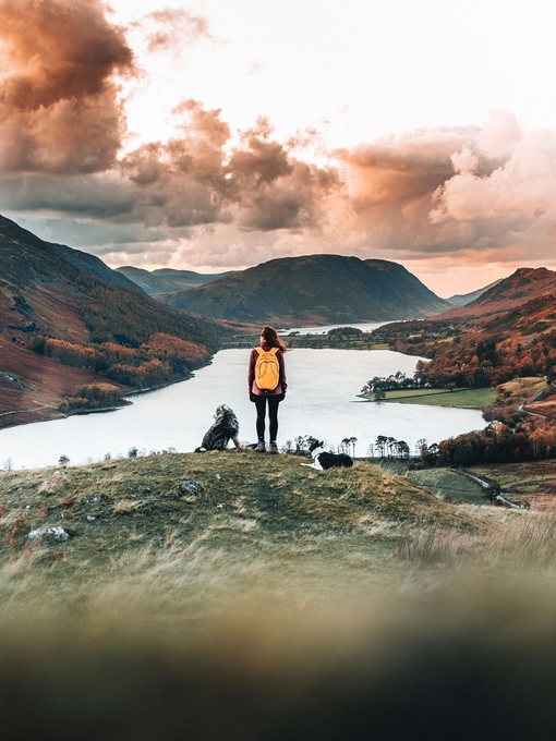 Rear view of young woman on a hillside with two dogs
