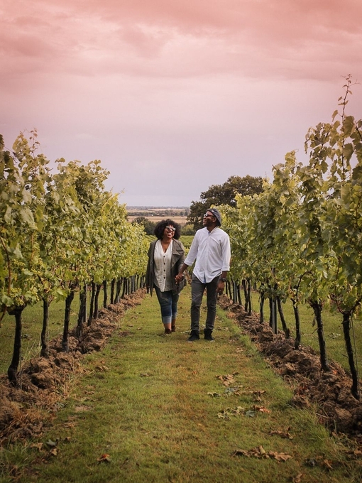 Man and woman walking between vines at a vineyard
