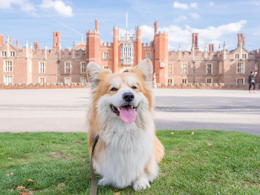 Homme et garçon portant des harnais et des casques, faisant de la descente en rappel