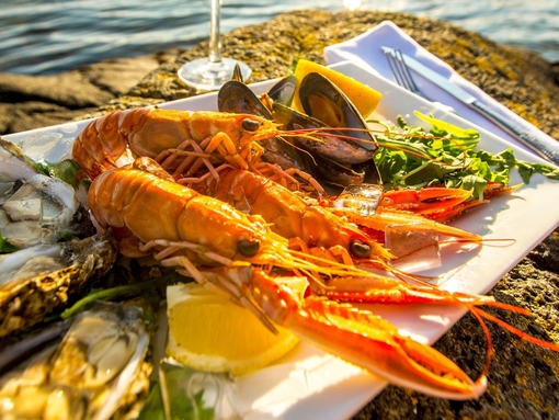 A dish of seafood, oysters on the shell and langoustines