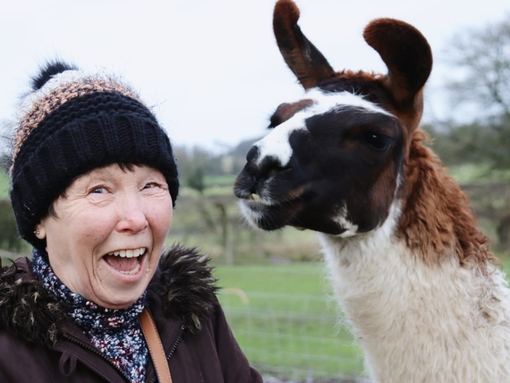 A woman posing with an alpaca at Middle England Farm