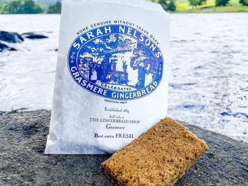 Closeup of Grasmere Gingerbread on a rock by a lakeside