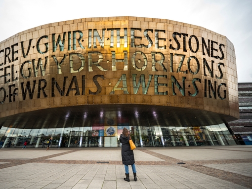 Person looking up at the front of a bronze building