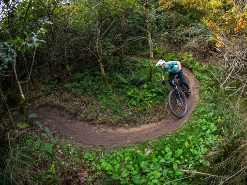 A cyclist riding through trees along a purpose built adventure cycle path in a large forest.