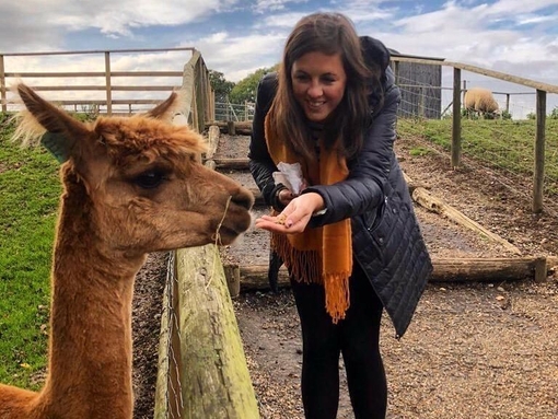 A smiling young woman feeding a llama from her hand