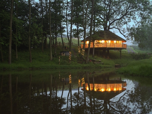 Overlooking the lake at dusk to the treehouse at Treeopia, light from within and surrounded by trees.