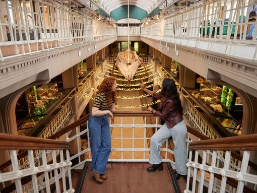 Two women talking, laughing visiting the prehistoric exhibition in a large museum.
