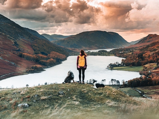 Rear view of young woman on a hillside with two dogs
