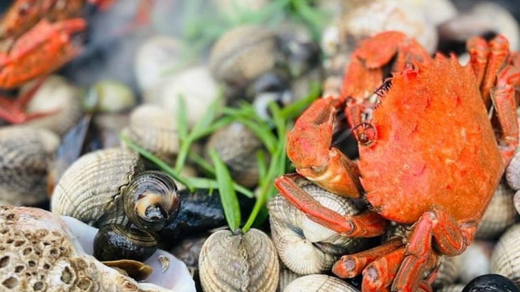 Food collected from coastal foraging cooking on a pan
