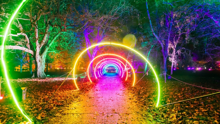 Colourful light installation at Christmas at Bute Park festival