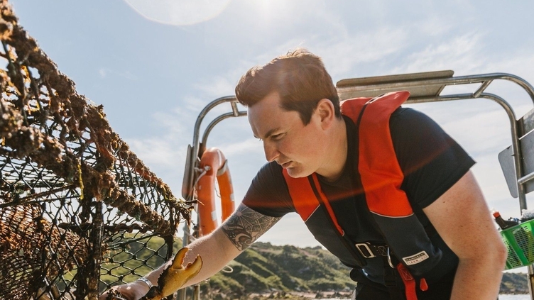 Man on boat looking into a crab net, Haar, Scotland.